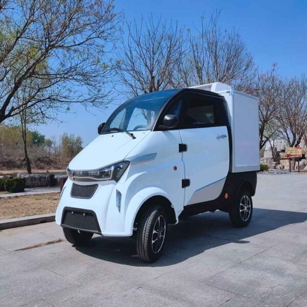 4 motor electric car China supplier manufacturer wholesale