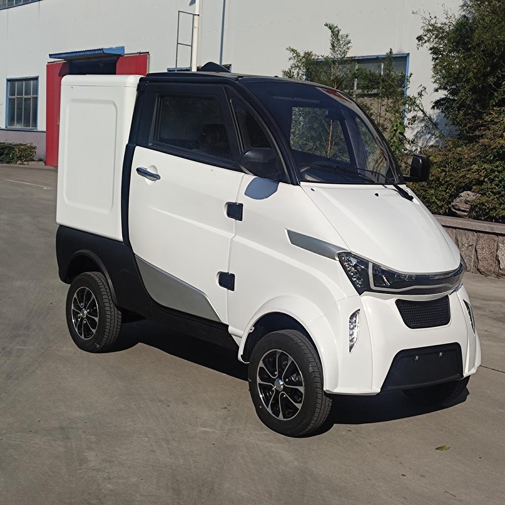 Best Mini Electric Vehicle with 105Ah LiFePo4 Battery EEC L6e-BP