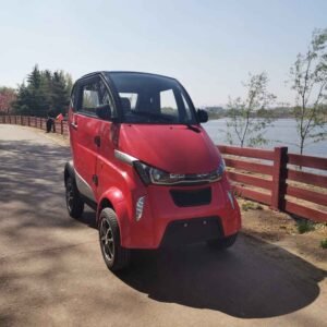 affordable electric vehicles China manufacturer wholesale