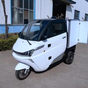 electric automobile jinma1002 with Cargo Box EEC COC