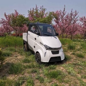 electric car companies in europe China manufacturer wholesale