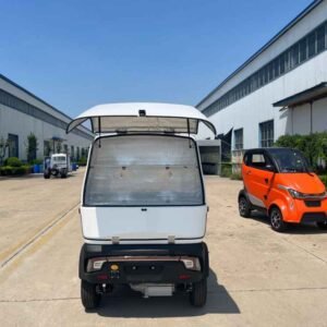 electric car recently launched China manufacturer wholesale