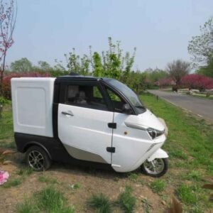 electric family cars China supplier manufacturer wholesale