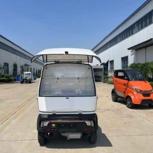 ev car sales in china China supplier manufacturer wholesale