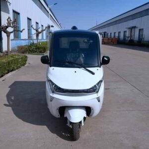 full ev cars 2024 China supplier manufacturer wholesale