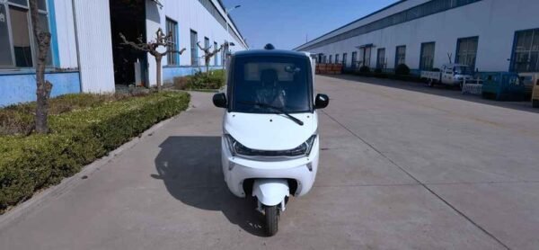 full ev cars 2024 China supplier manufacturer wholesale