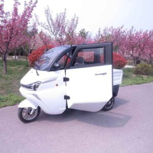 list of electric cars China supplier manufacturer wholesale