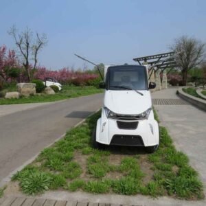 motor ev car China supplier manufacturer wholesale