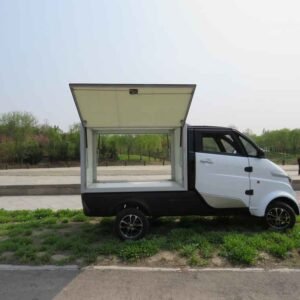 tiny car electric China supplier manufacturer wholesale