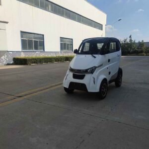 top electric cars China supplier manufacturer wholesale