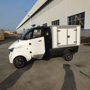 top electric vehicles 2024 China supplier manufacturer wholesale