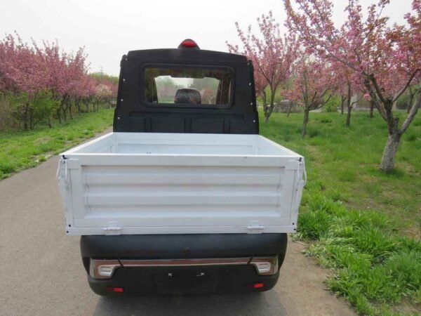 vehicle bev China supplier manufacturer wholesale