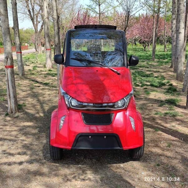 vehicle electrique China supplier manufacturer wholesale